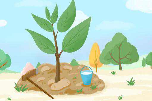 ֲ��������ͼ��