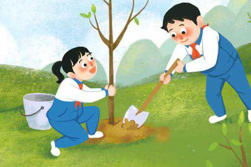 ֲ��������ͼ��