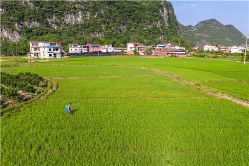 6�·���ֲҵ������÷��ּ��ּ�����ʩ