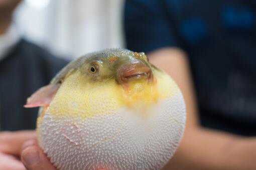 ���������ж�