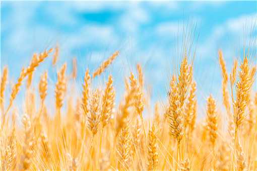 С��12�·��ֿ�����