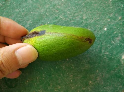 â��СѨ�ǵٸ���