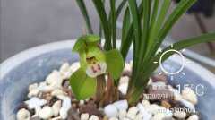 �����󸻹����������