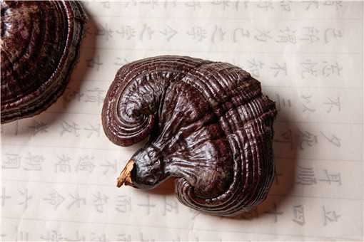 ��֥��ô��