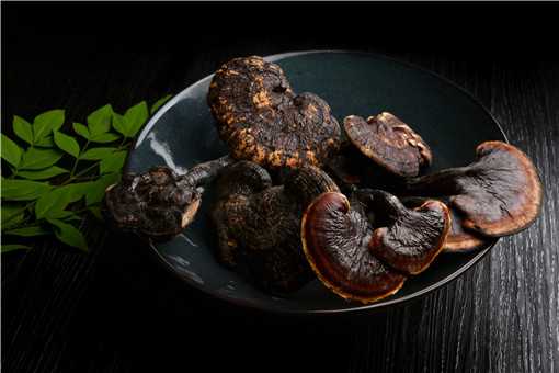 ��֥��ô��