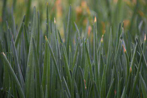 ˮ���е���ȷ����