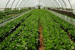 ����ũ���ʲô��Ǯ