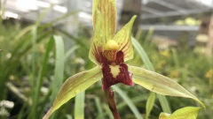 ����������������