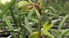 �����ø��������