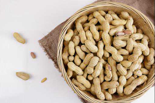 花生生吃还是熟吃好