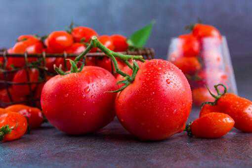 西红柿