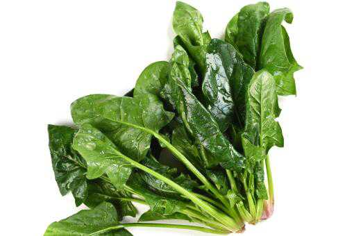 ��Щ�����˳Բ���