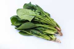 ���˵�Ӫ����ֵ�͹�Ч����Щ����Щ�����˳Բ����أ�