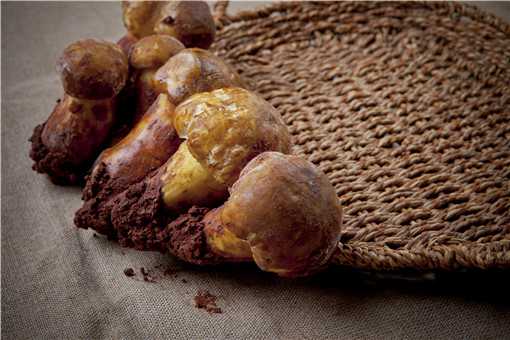 ������ô��