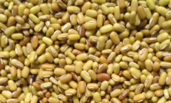 ����ô�ԱȽϺã��񶹵�ʳ�÷���