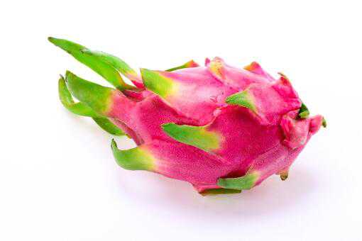 ���������Լ�����