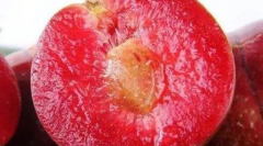 �������ӵĹ�Ч������