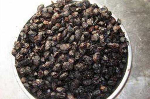 淡豆豉的功效与作用  淡豆豉怎么吃