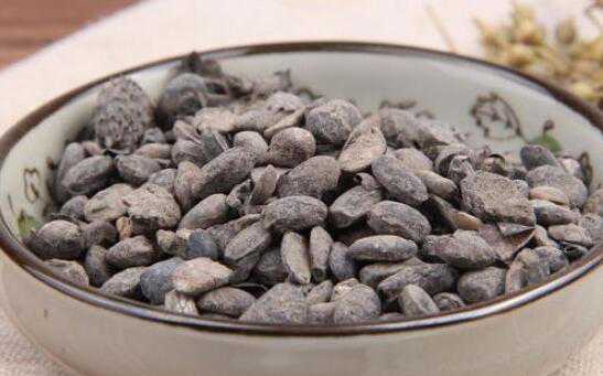 淡豆豉的功效与作用  淡豆豉怎么吃