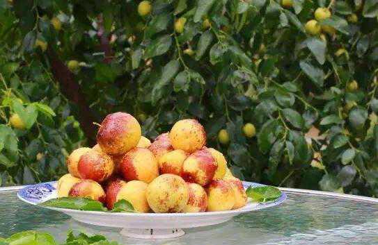 �����ѩ������� �Զ���ĺô�