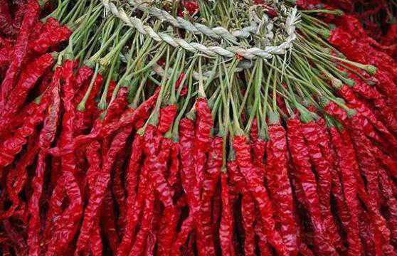 ������Ӫ����ֵ �����Ĺ�Ч