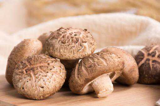 �㹽��ֲ����ų���