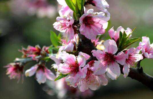 �һ��Ĺ�Ч������ �һ��Ľ���