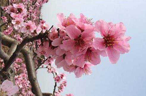 �һ��Ĺ�Ч������ �һ��Ľ���