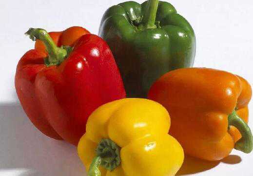 ����������ô�� ����������ʳ�÷���