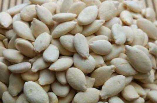 �����ӵĽ����븱����