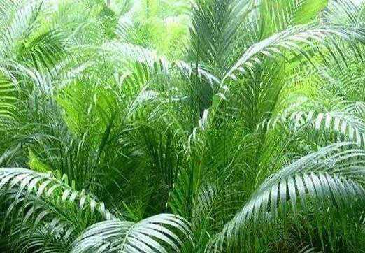 ɢβ������ֳ������ע������