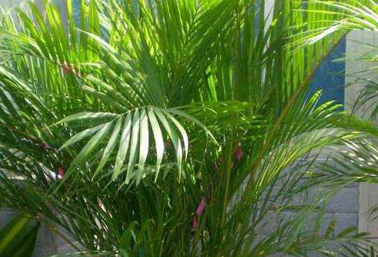 ɢβ������ֳ������ע������