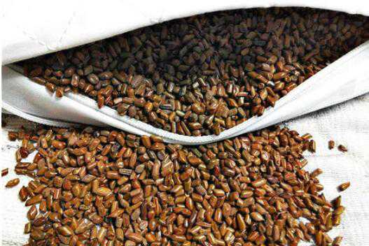 ��������ͷ��������Ⱥ ��������ͷ��Ů�Ե�Σ��