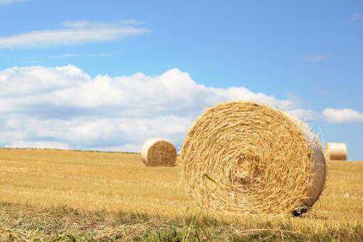 �ոѵ�ȼ�ϼӹ���