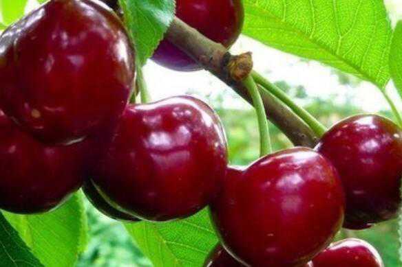 ��ӣ���صĹ�Ч������