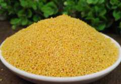 �����Ŵ�Ժ;��Ե�����