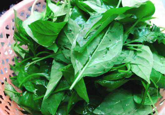 ����Ҷ��ô�� ����Ҷ��������ȫ�ҳ�