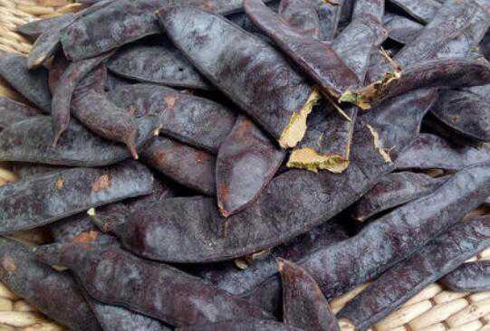 �����ص������빦Ч