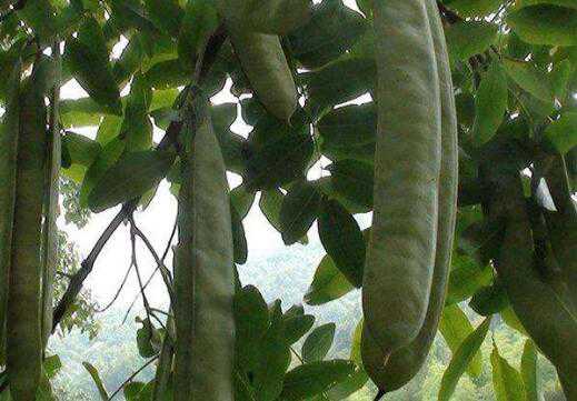 ��������ô�� ��������ô��