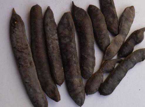 ��������ô�� ��������ô��