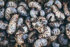 �Ʒ۳������������Ƕ��٣����Ʒ۳���Ǯ��