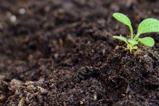 5Ķ�����ֳһ���ж�������