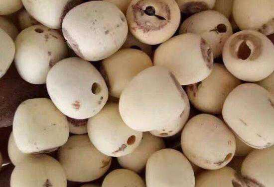 ��ҩ���Ӻ���ͨ���ӵ����� ���ӵĹ�Ч