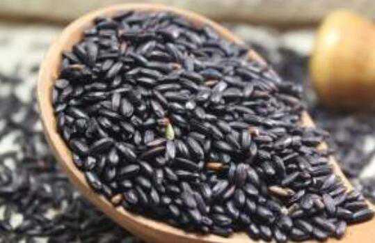 紫米和紫糯米的功效与作用