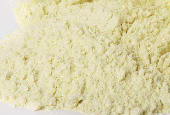 黍子面的功效与作用 什么人不能吃糜子面