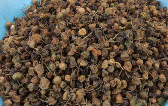 �����ӵĹ�Ч������ �����ӵ�ҩ�ü�ֵ