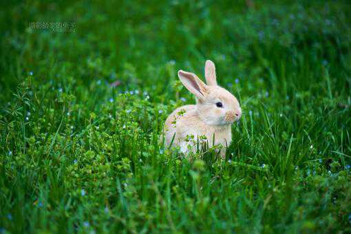 ������������ô��