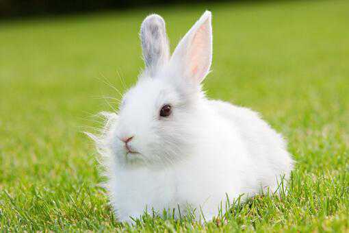 �����ӵ�ע������