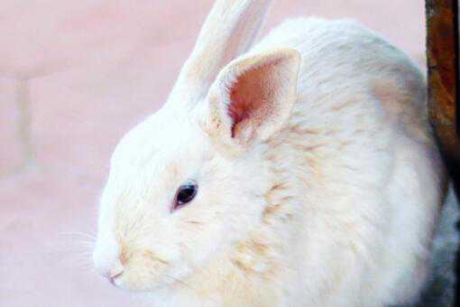 2021������������ô��