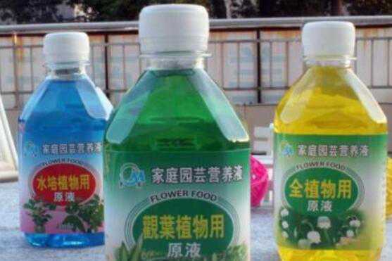 在家用什么代替营养液 如何自制营养液